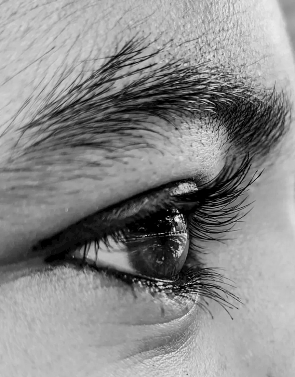 close-up of a person's eye