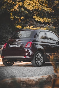 A small, dark-colored car is parked on a gravel driveway surrounded by lush green foliage. The vehicle appears to be a compact hatchback with a hybrid emblem, and its glossy surface reflects the surrounding environment. In the background, there is a stone wall partially covered by the greenery, adding a rustic touch to the setting.