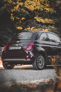 A small, dark-colored car is parked on a gravel driveway surrounded by lush green foliage. The vehicle appears to be a compact hatchback with a hybrid emblem, and its glossy surface reflects the surrounding environment. In the background, there is a stone wall partially covered by the greenery, adding a rustic touch to the setting.
