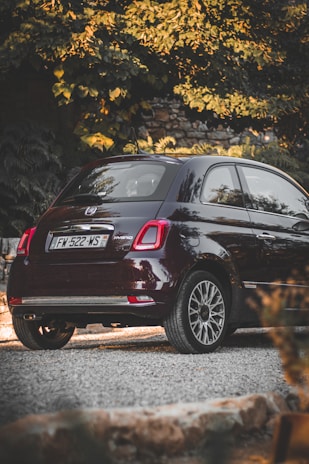 A small, dark-colored car is parked on a gravel driveway surrounded by lush green foliage. The vehicle appears to be a compact hatchback with a hybrid emblem, and its glossy surface reflects the surrounding environment. In the background, there is a stone wall partially covered by the greenery, adding a rustic touch to the setting.