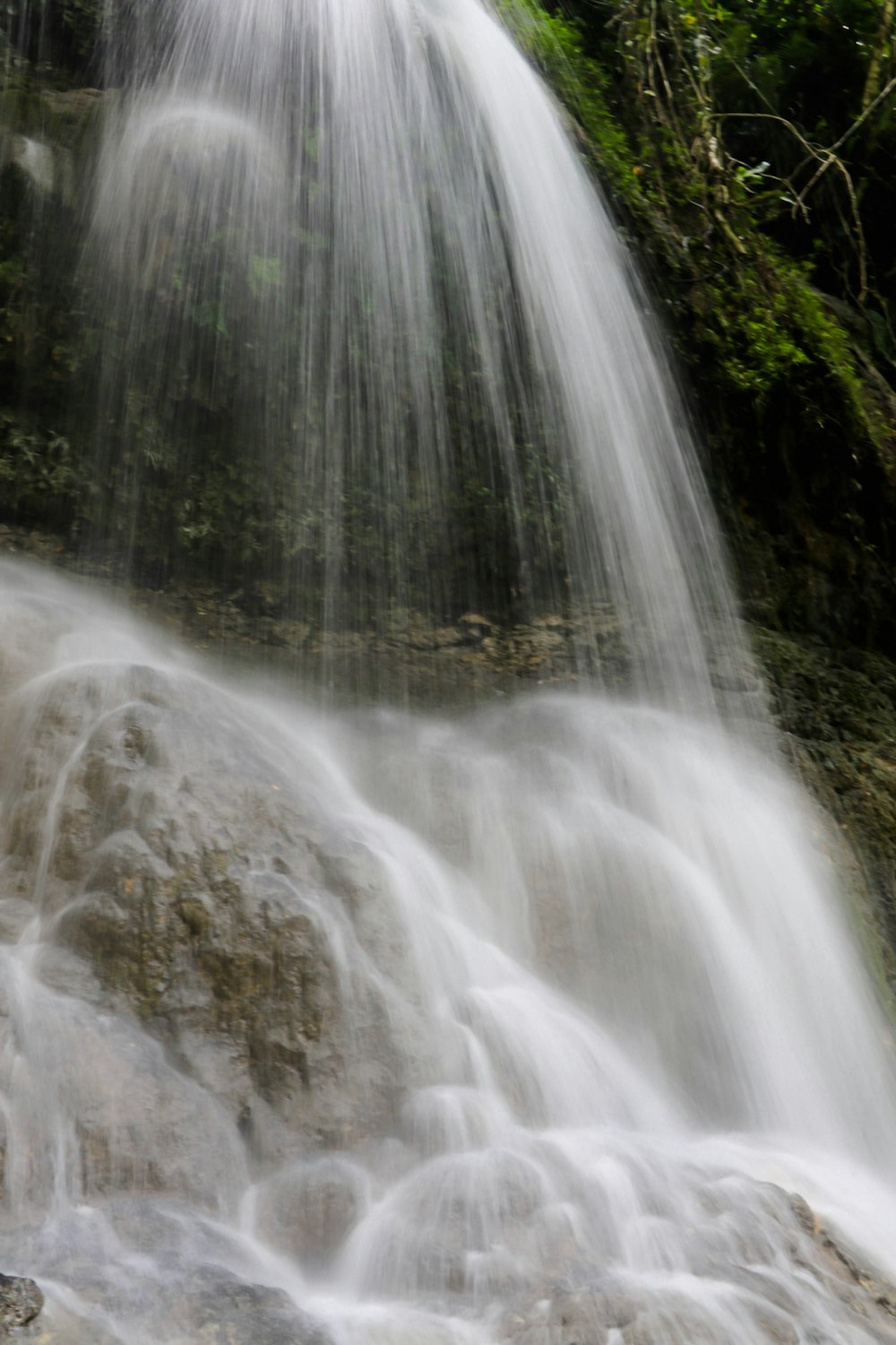 a waterfall with trees around it