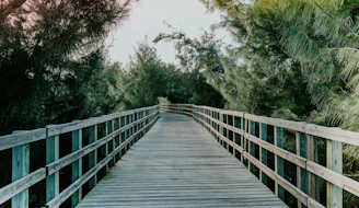 a wooden bridge over a river
