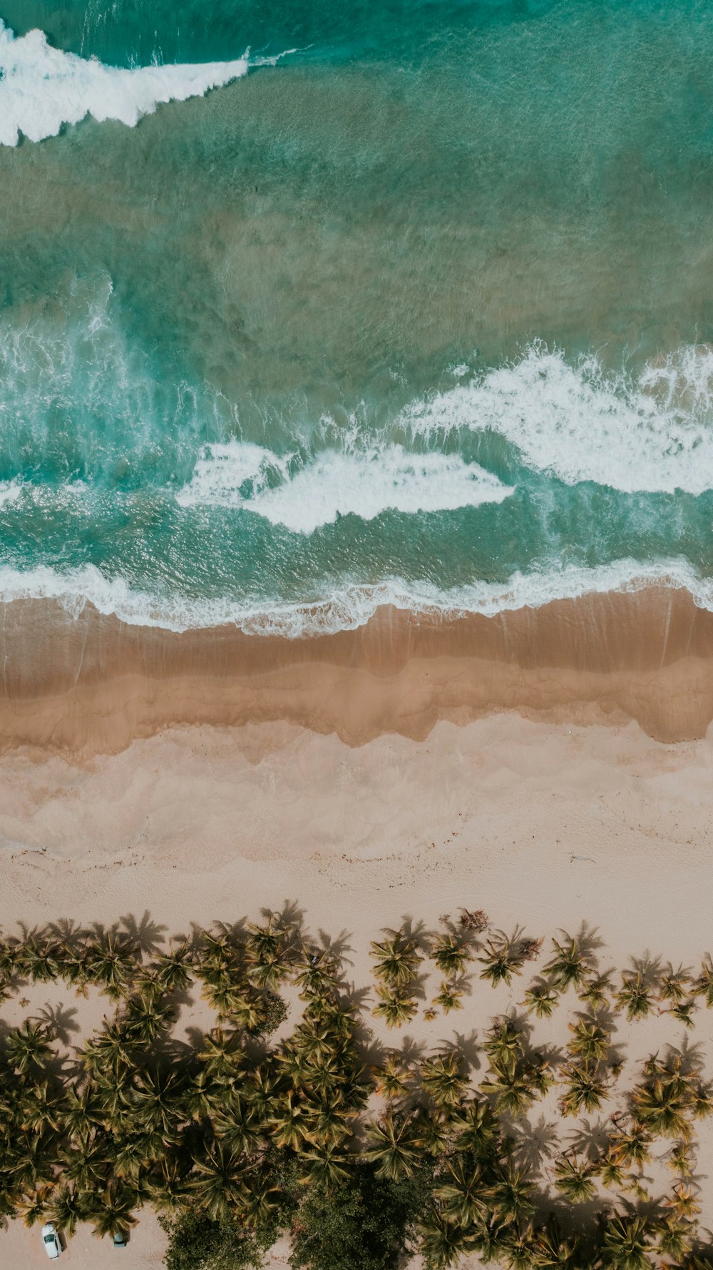 a beach with waves crashing