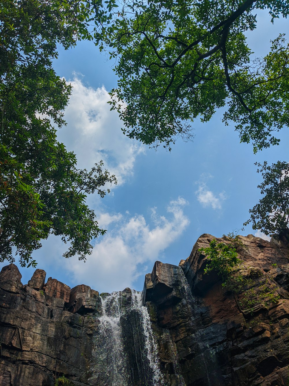 a waterfall and trees