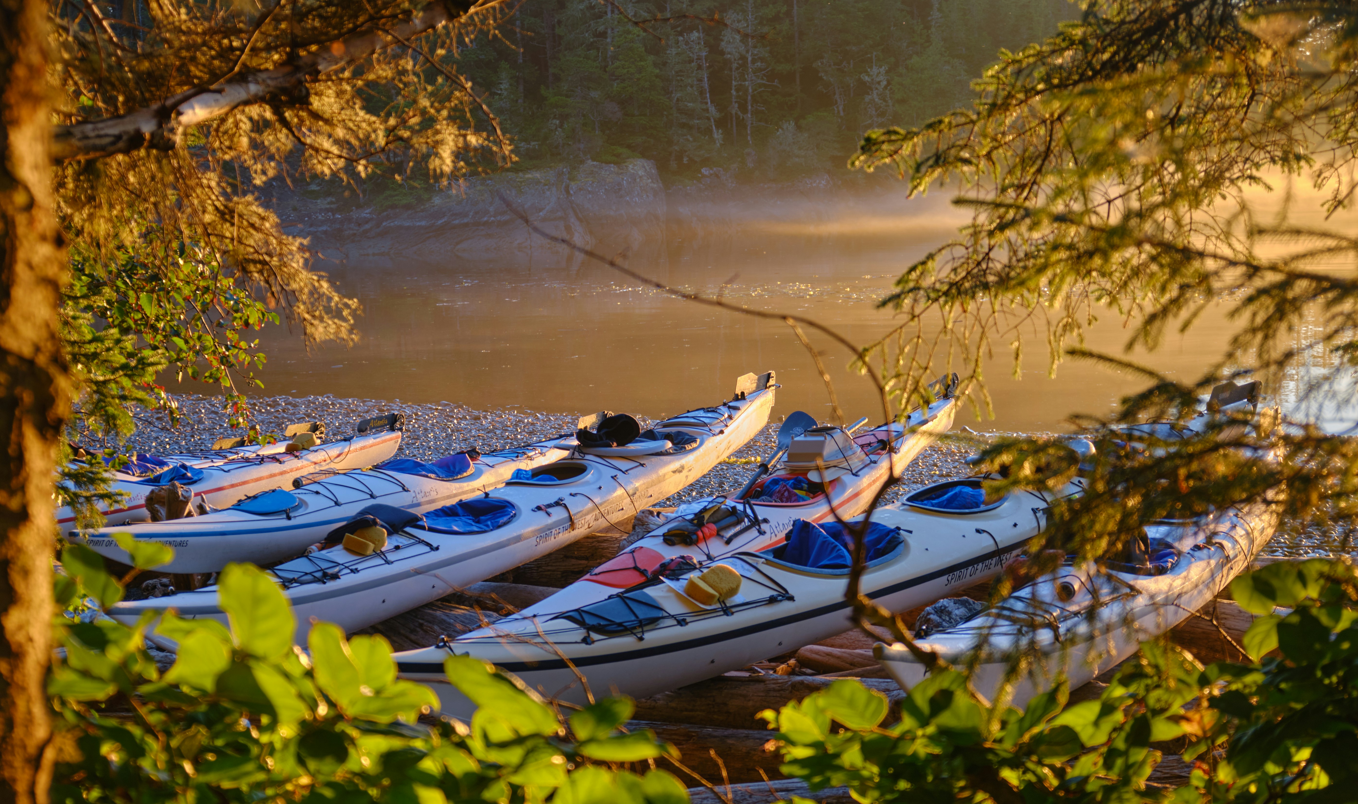 Photo by toastbusters