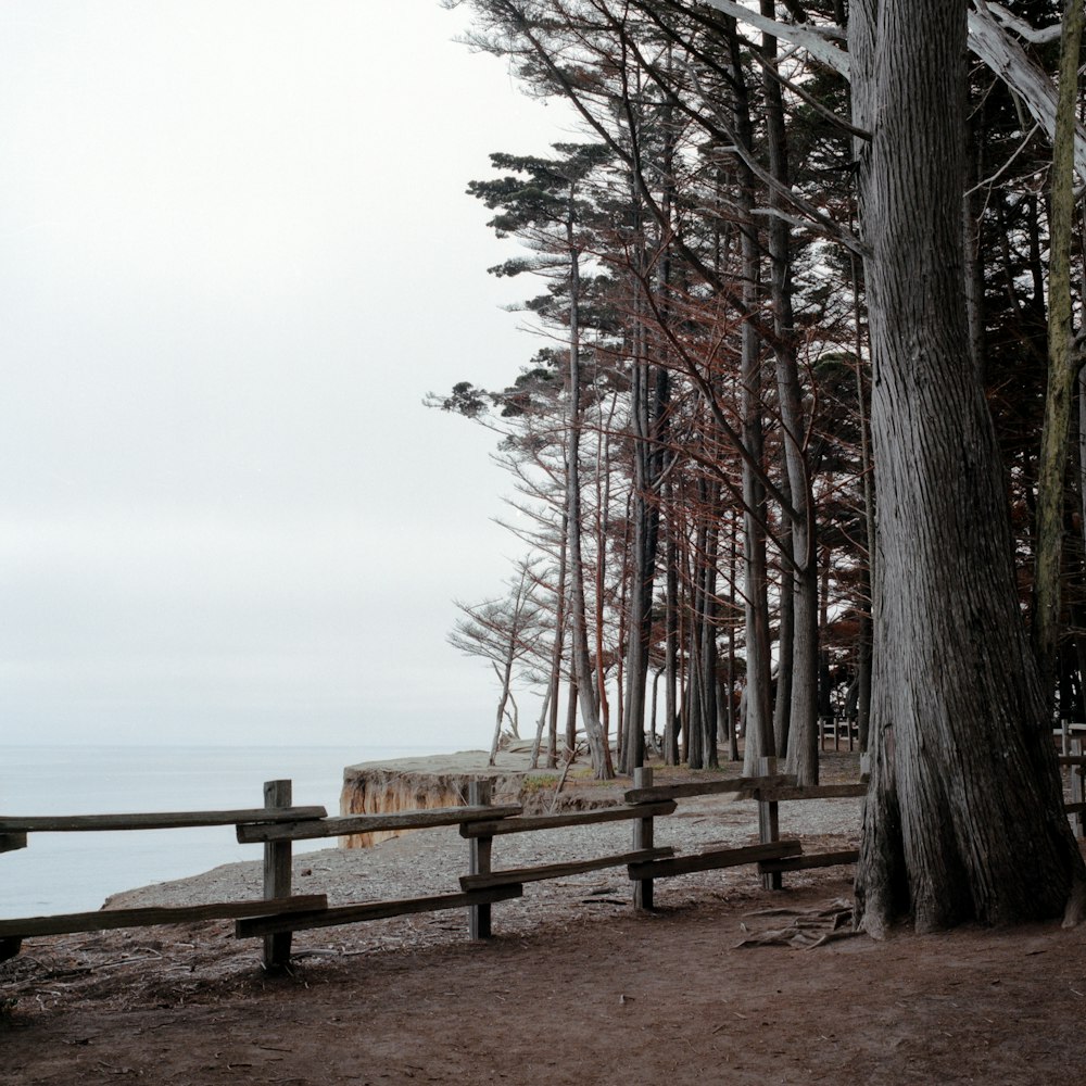 una panchina di legno su una spiaggia