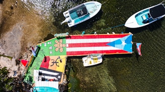 boats on the water