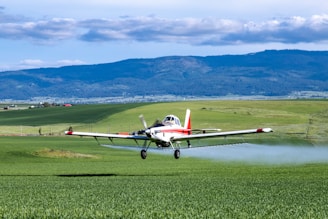 small airplanes on a runway