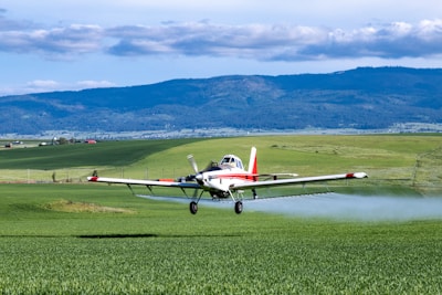small airplanes on a runway