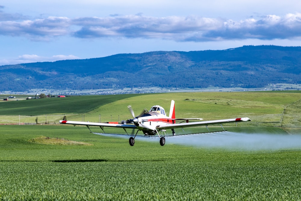 small airplanes on a runway