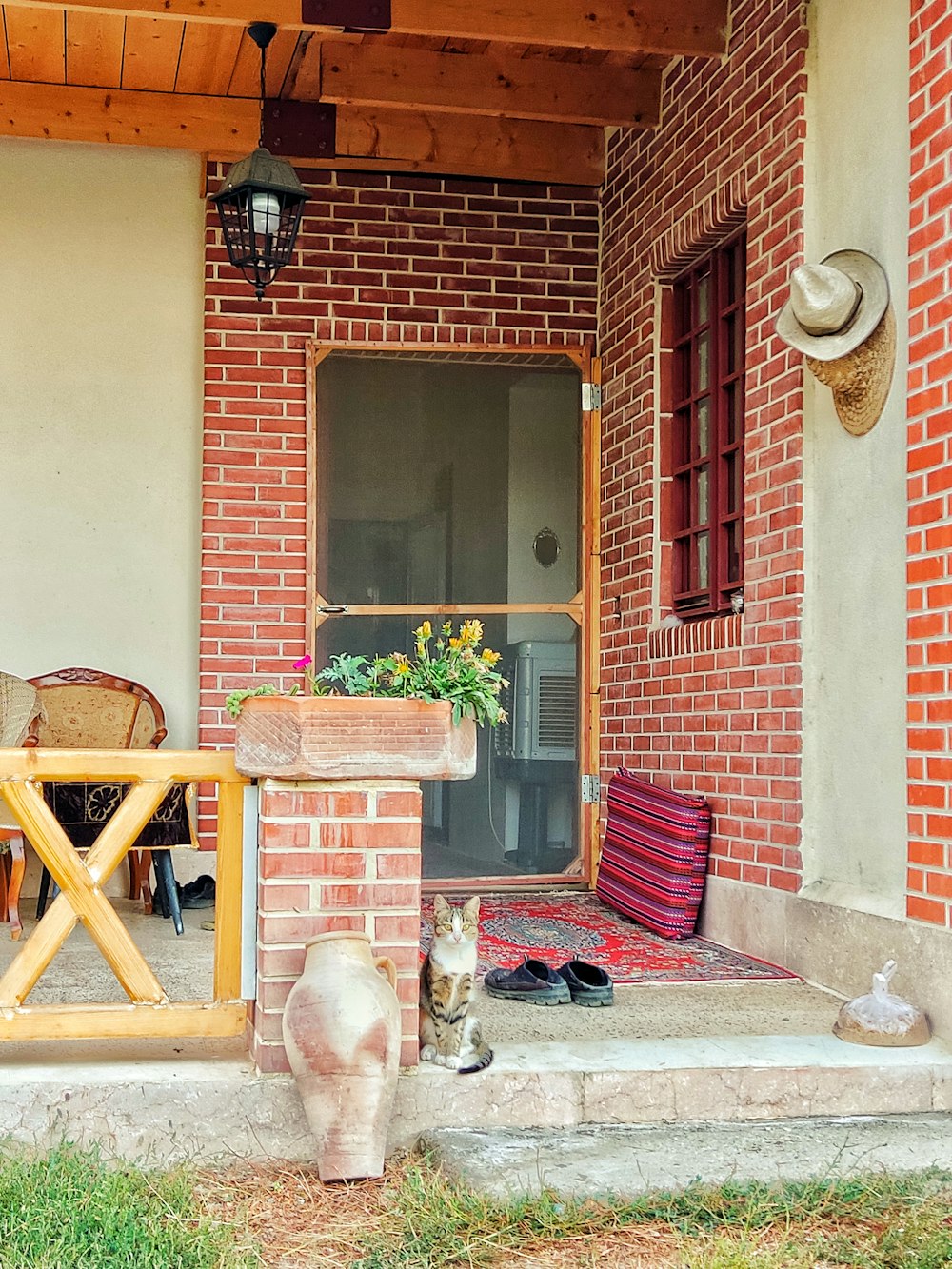 a cat sitting on a porch