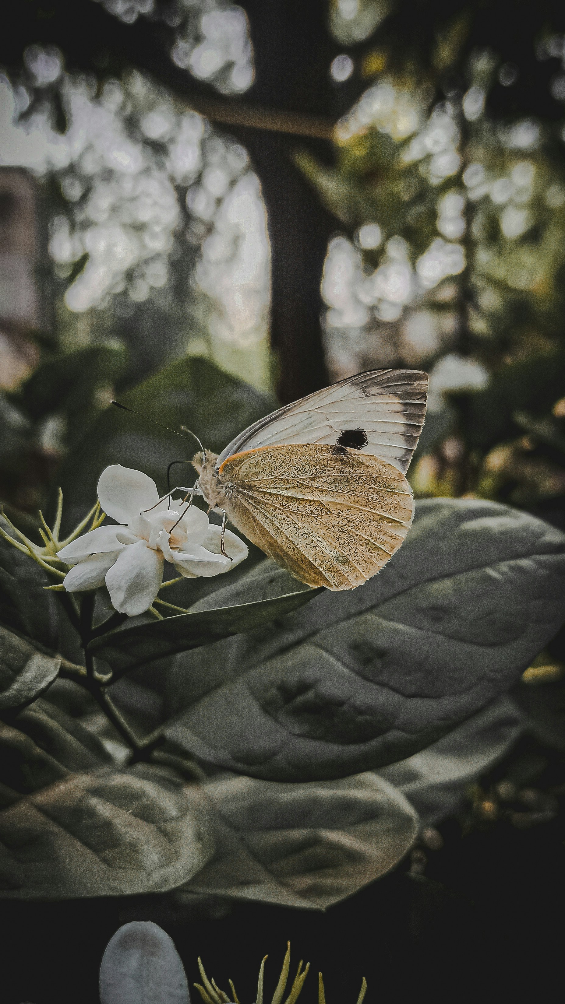 Photo by photographybysaurabhsharsar