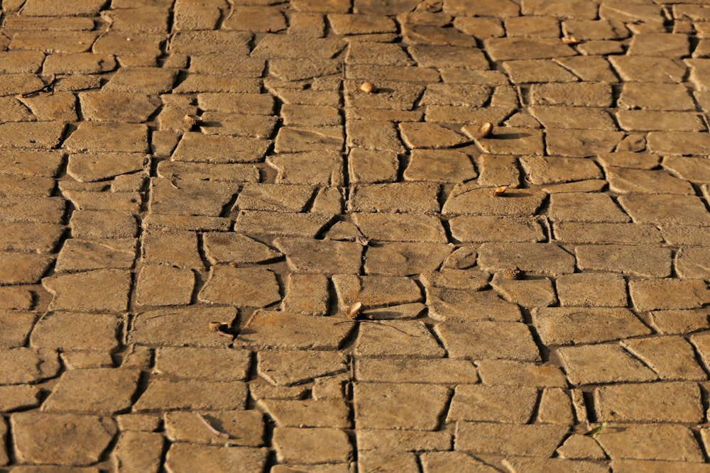 a cobblestone road with a cobblestone cobblestone cobblestone cobblestone