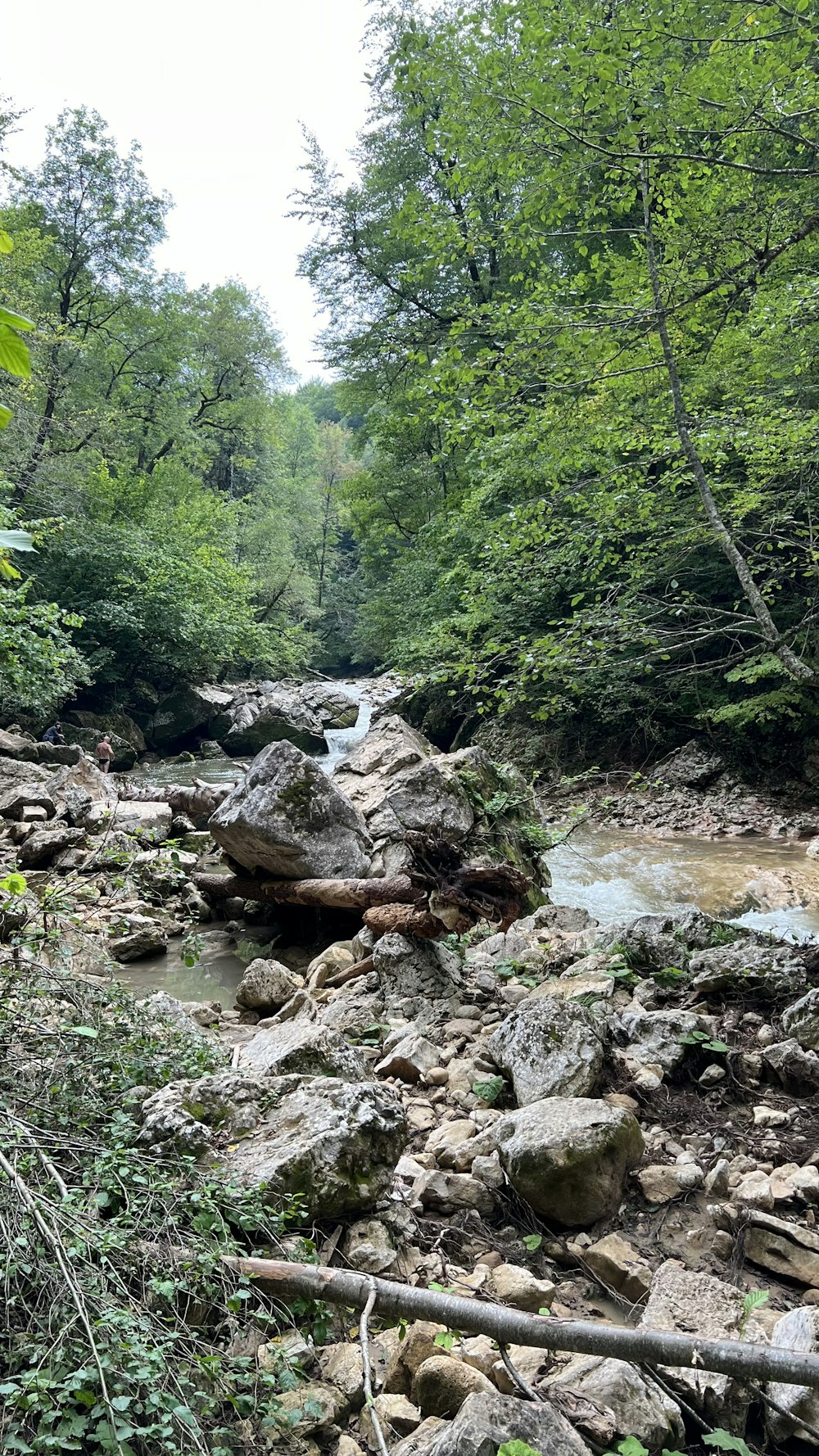 a stream with rocks and trees