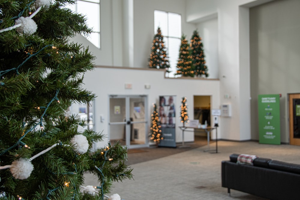 a room with christmas trees