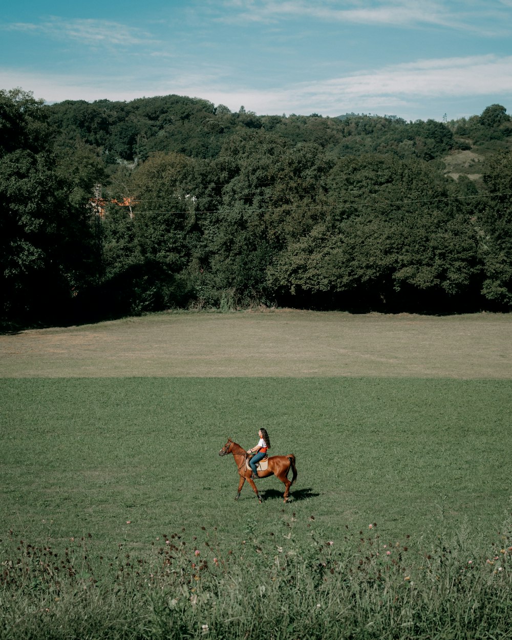 a man flying a kite in a field