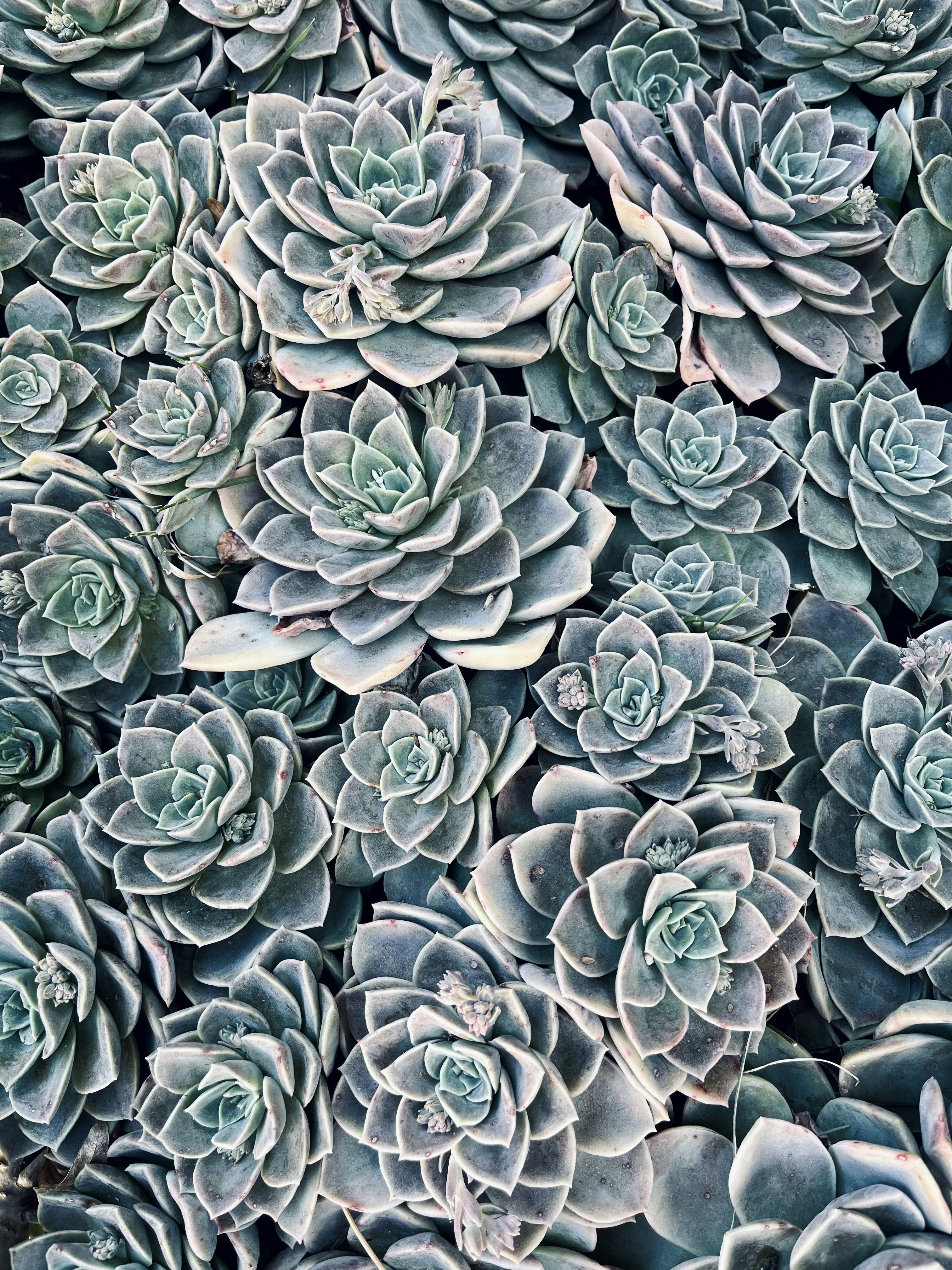 Photo by riondevilliers