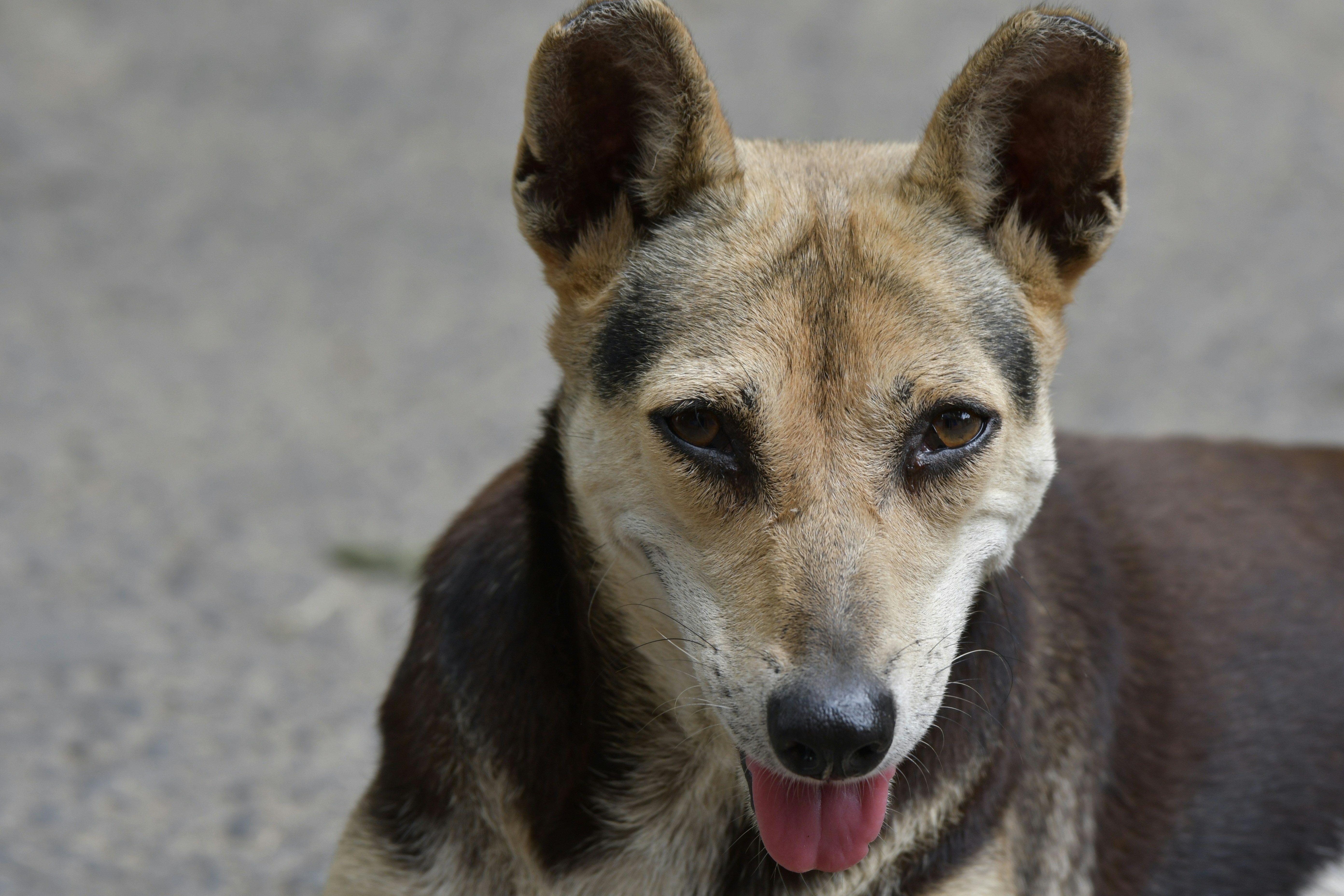 Photo by wrishi2004m