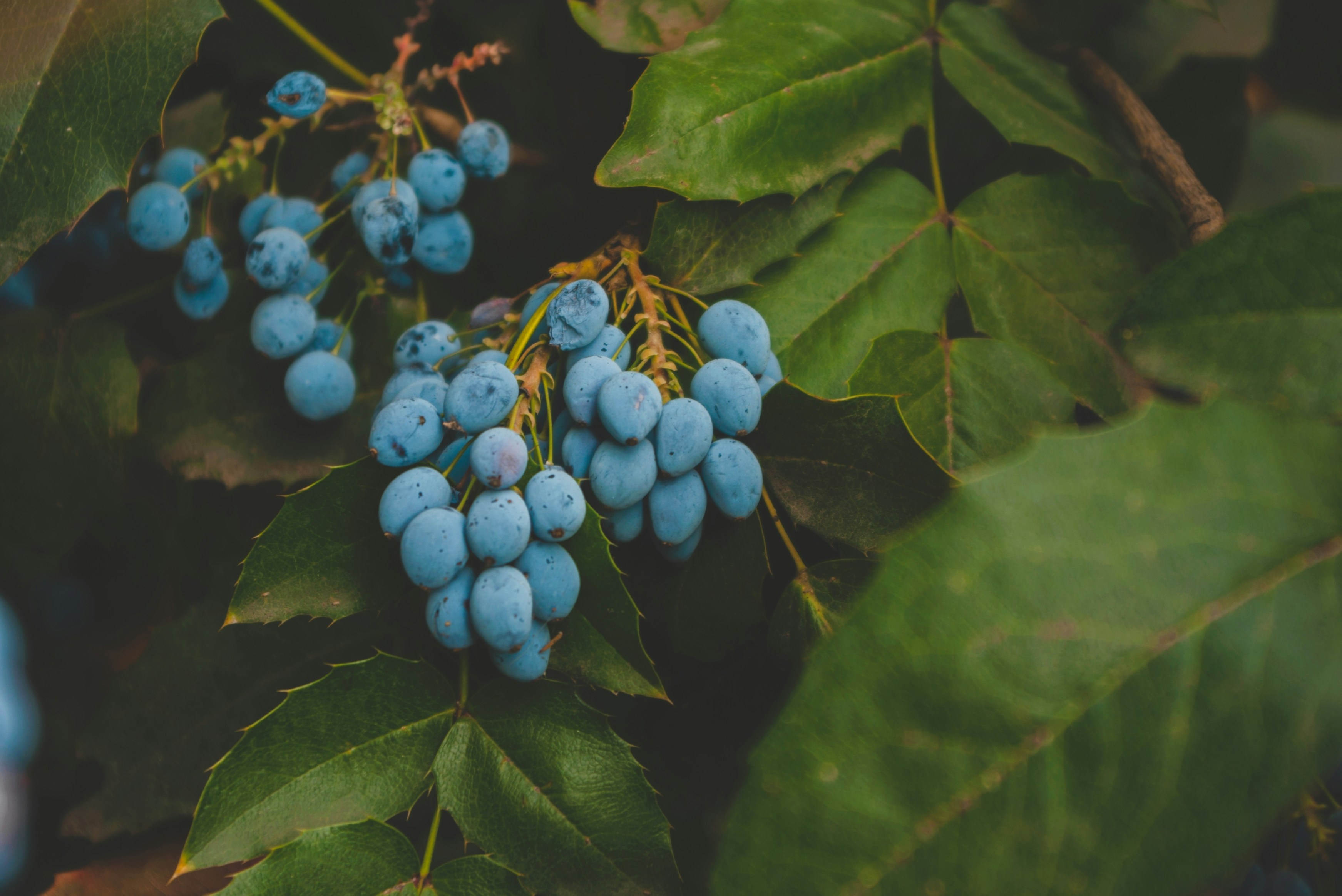 Photo by moonmoons_days