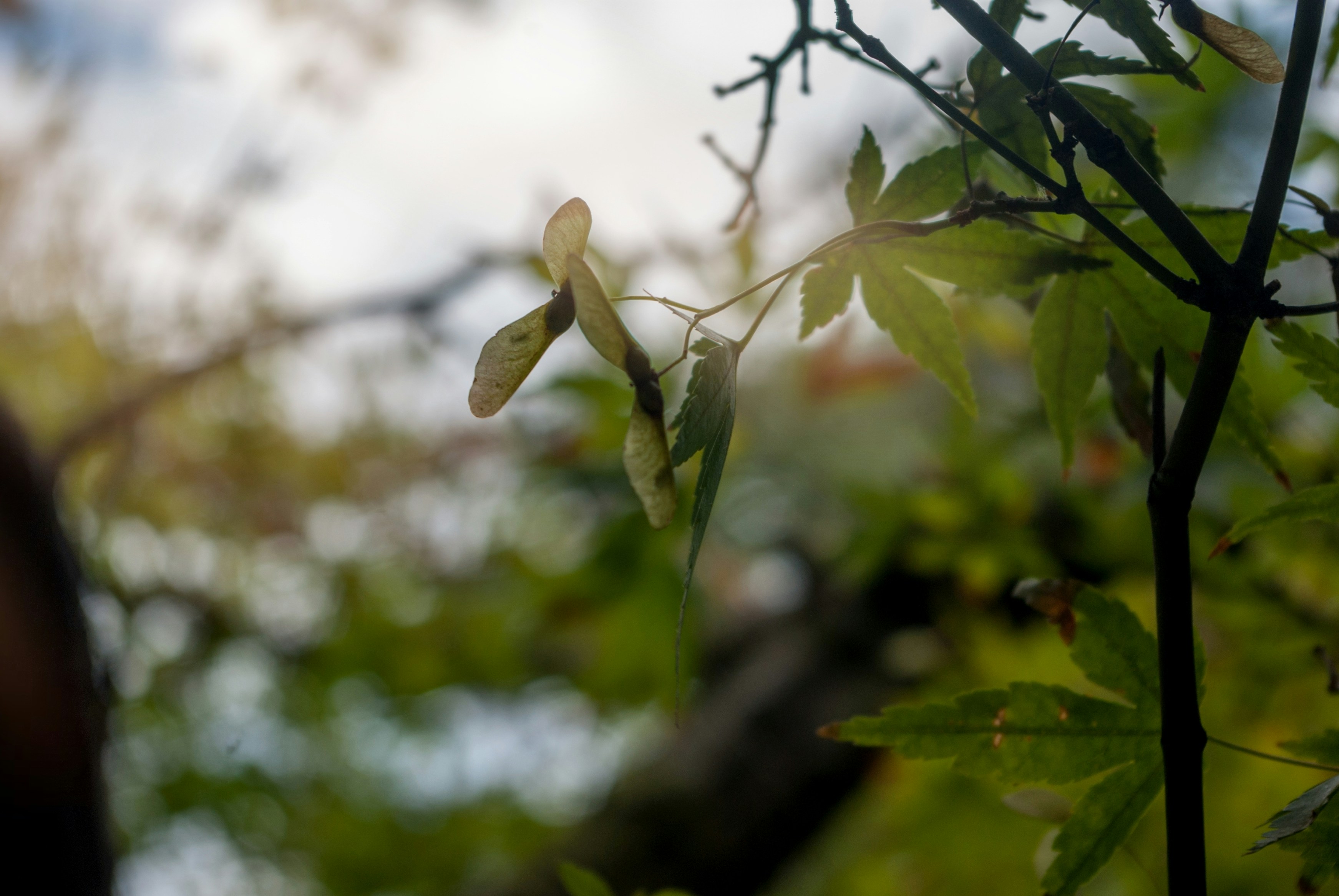 Photo by moonmoons_days