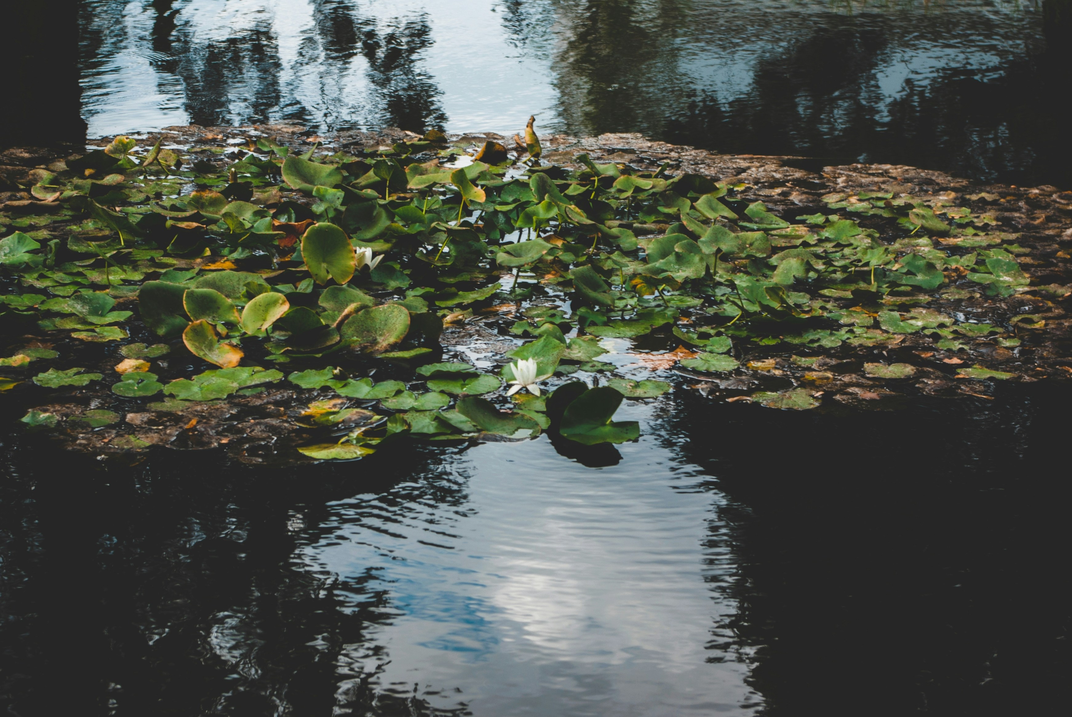 Photo by moonmoons_days