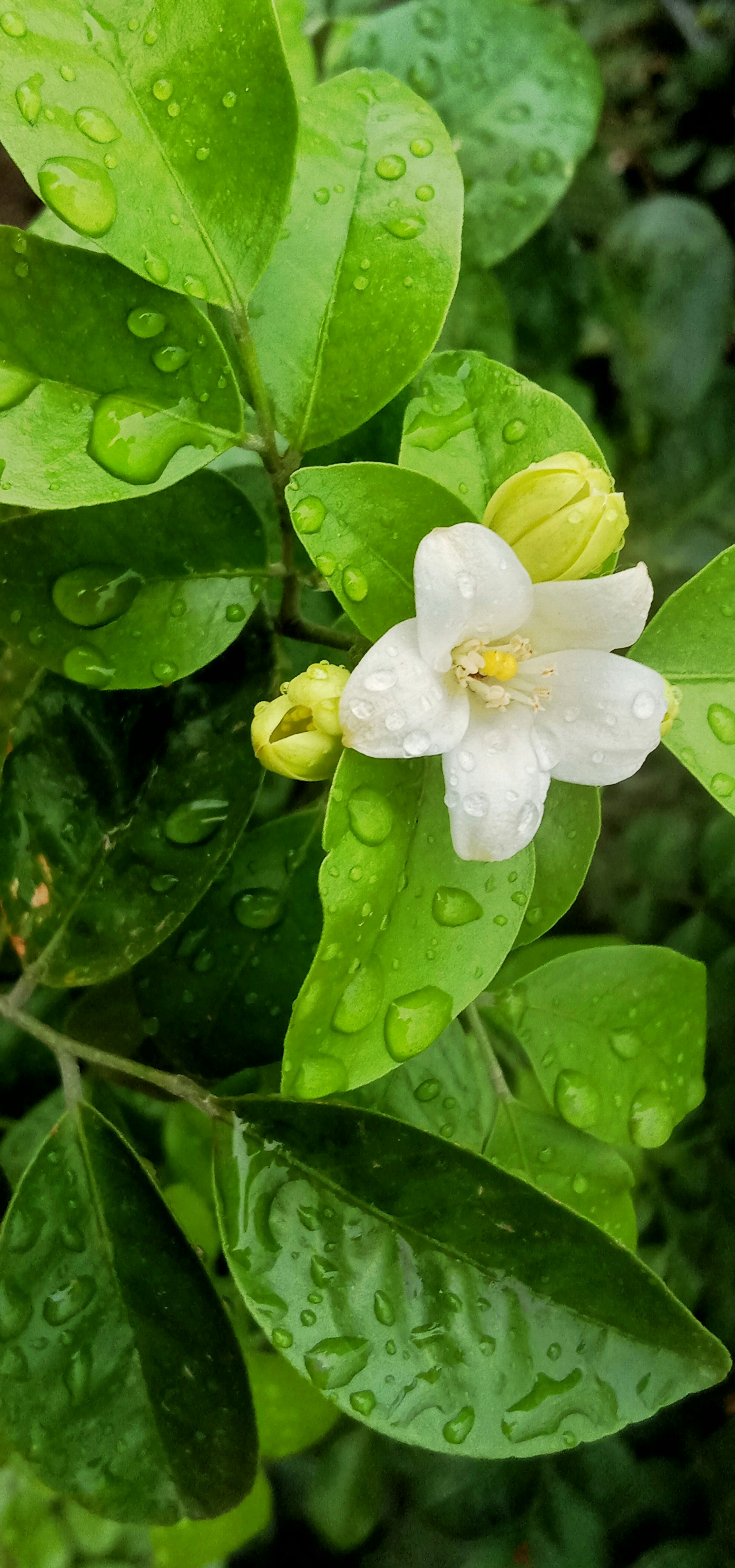 Photo by rbnaturelove603