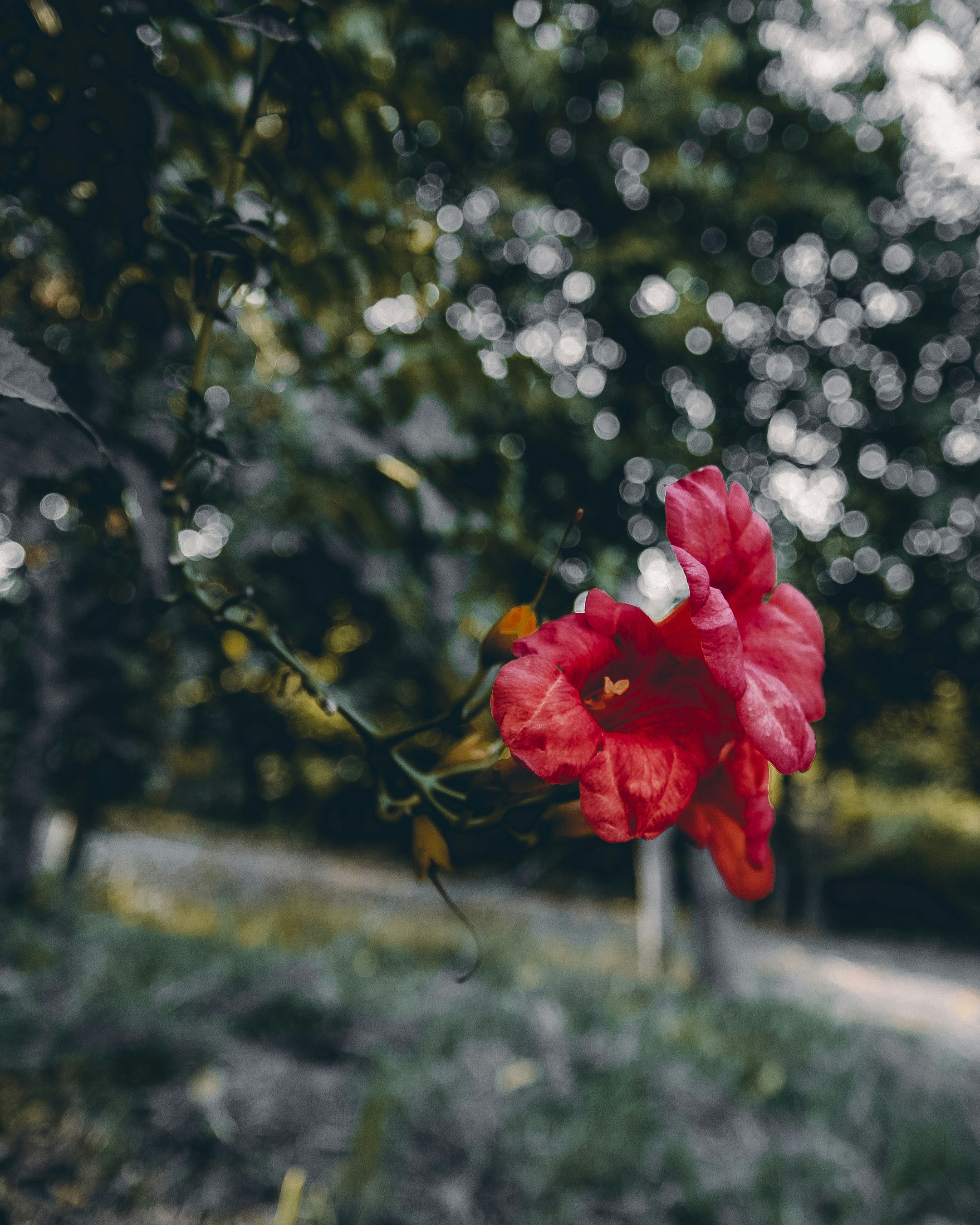 Photo by bita_eskandari