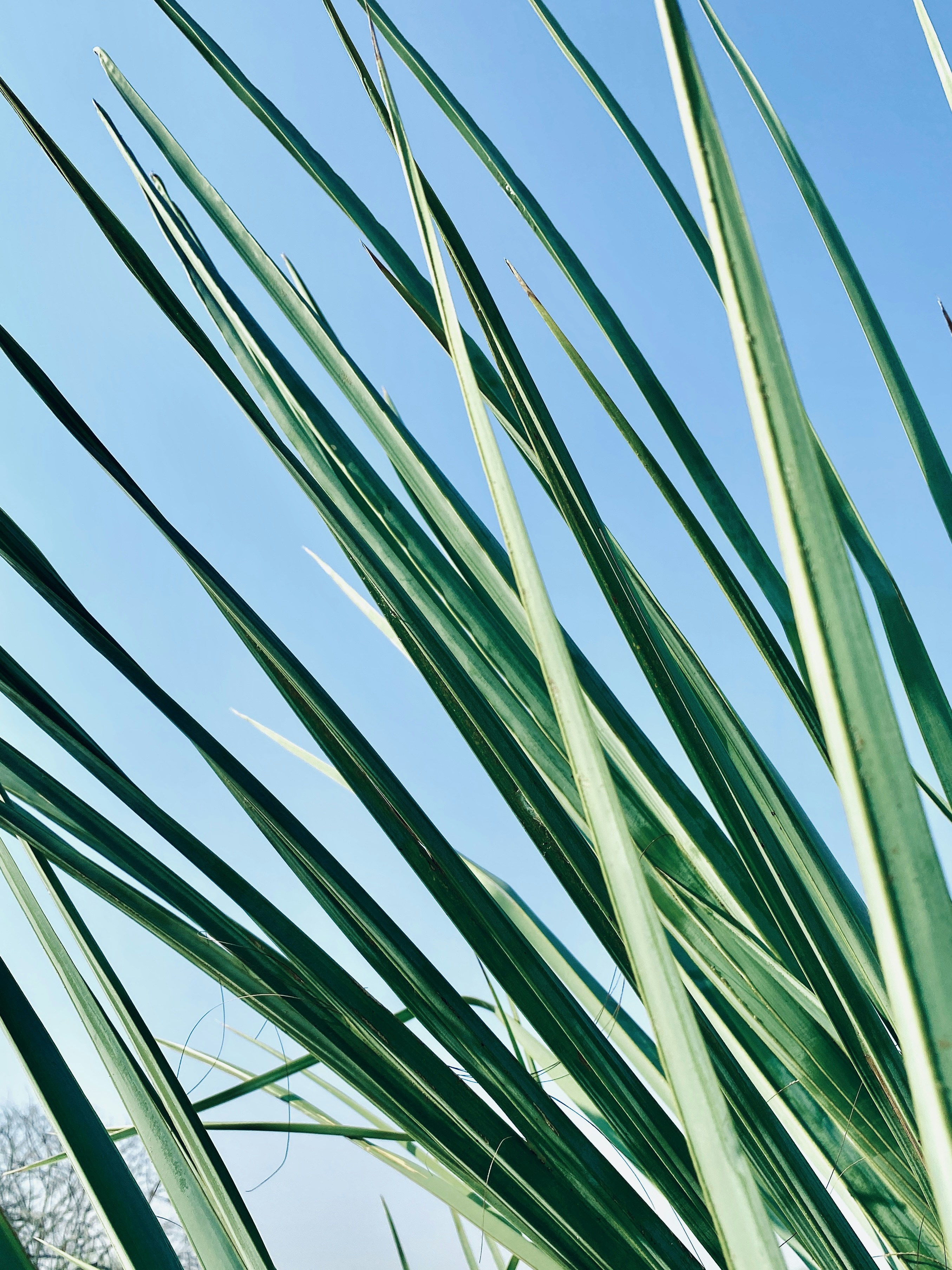 Photo by iamrainhard