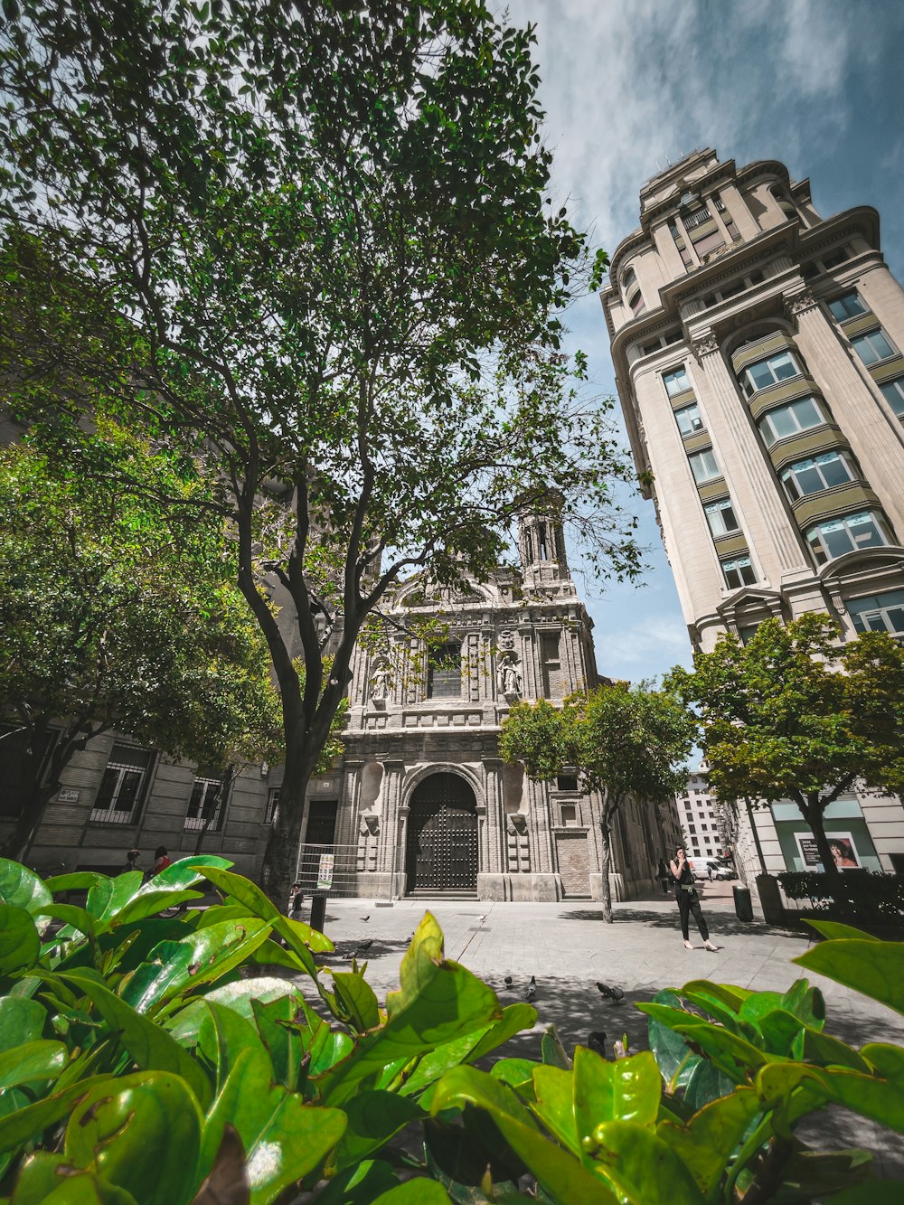 Un edificio con árboles y plantas frente a él