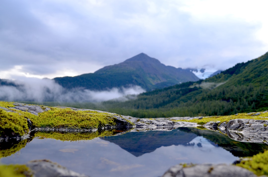 Reflections of a puddle in Exit Glacier NP