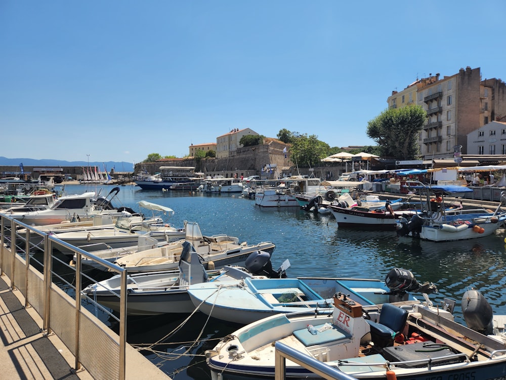 a marina full of boats