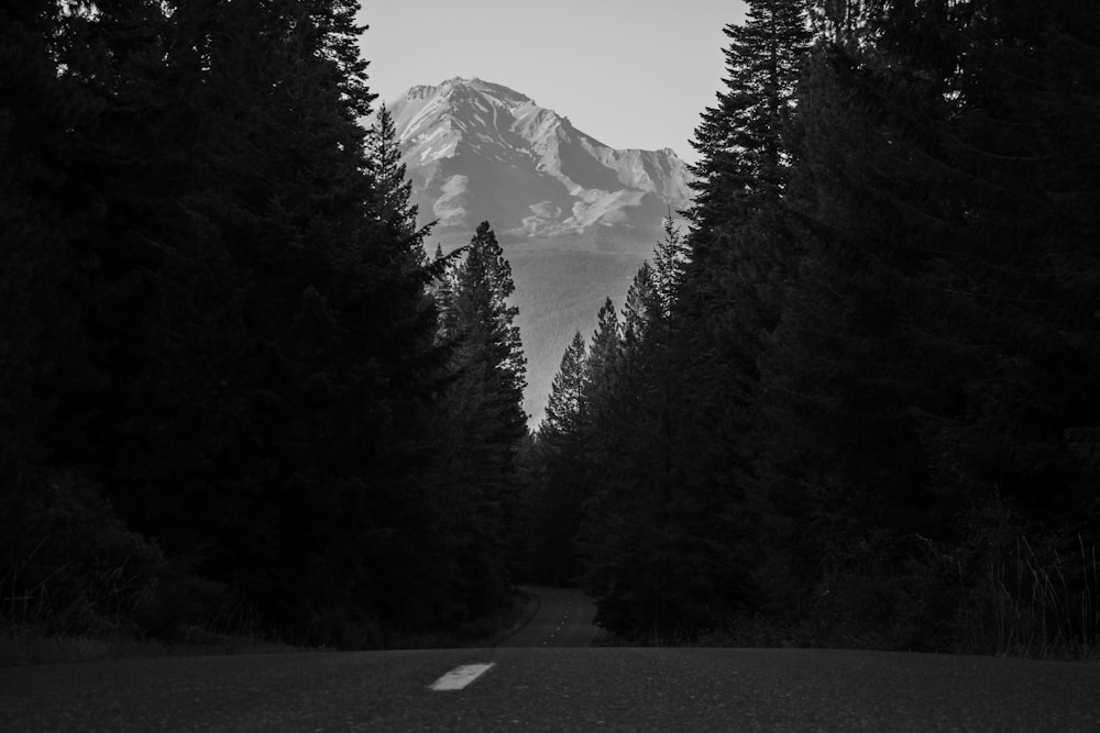 a road with trees and mountains in the background