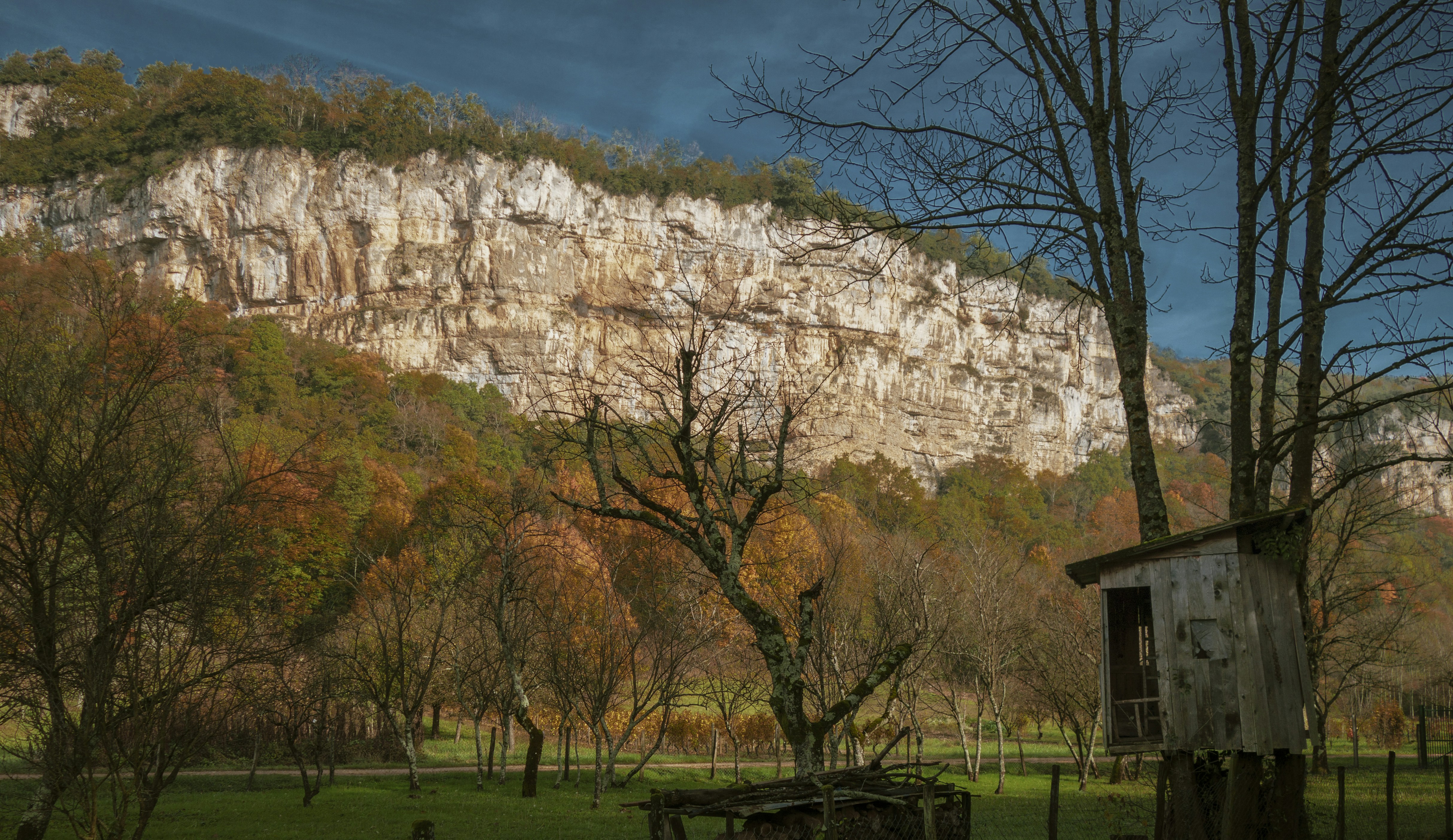 Les hautes falaises, coloriées par l'âge, dans cette région du Bugey, se teintes d'or au moment du soleil couchant. Les rangées de vignes aux feuillages d'automne, dressées à leurs pieds, embrasent les coteaux de vermeil. Ainsi nait le vin du Bugey. The high cliffs, colored by age, in this region of Bugey, are stained with gold at the time of the setting sun. The rows of vines with autumn foliage, erected at their feet, blaze the slopes of vermeil. Thus the wine of Bugey was born.
