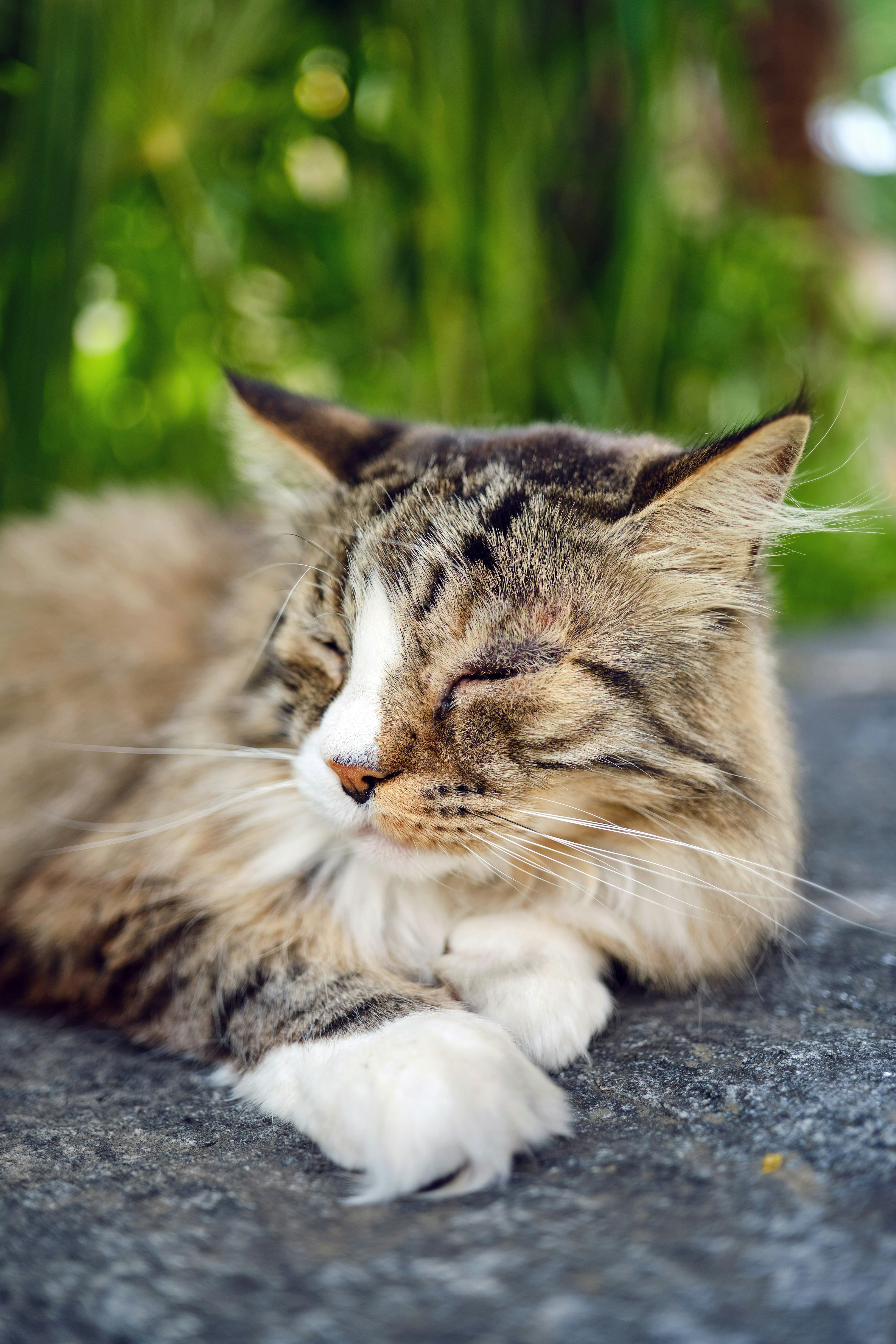 Photo by marcus_ganahl