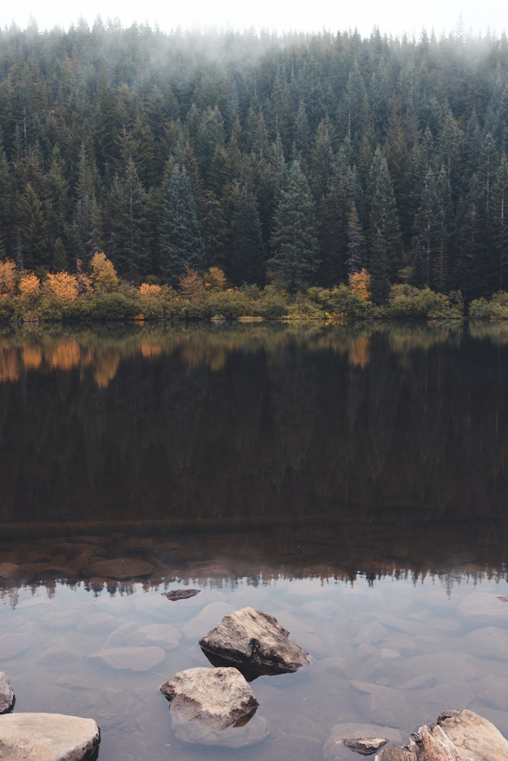 a lake with trees and rocks around it