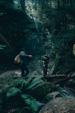 Two climbers helping each other across a slippery stream on the trail with lush forest around.