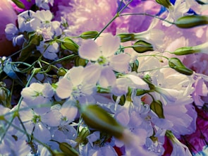 Close-up of delicate pink and white flowers intertwined with green leaves against a soft grey background