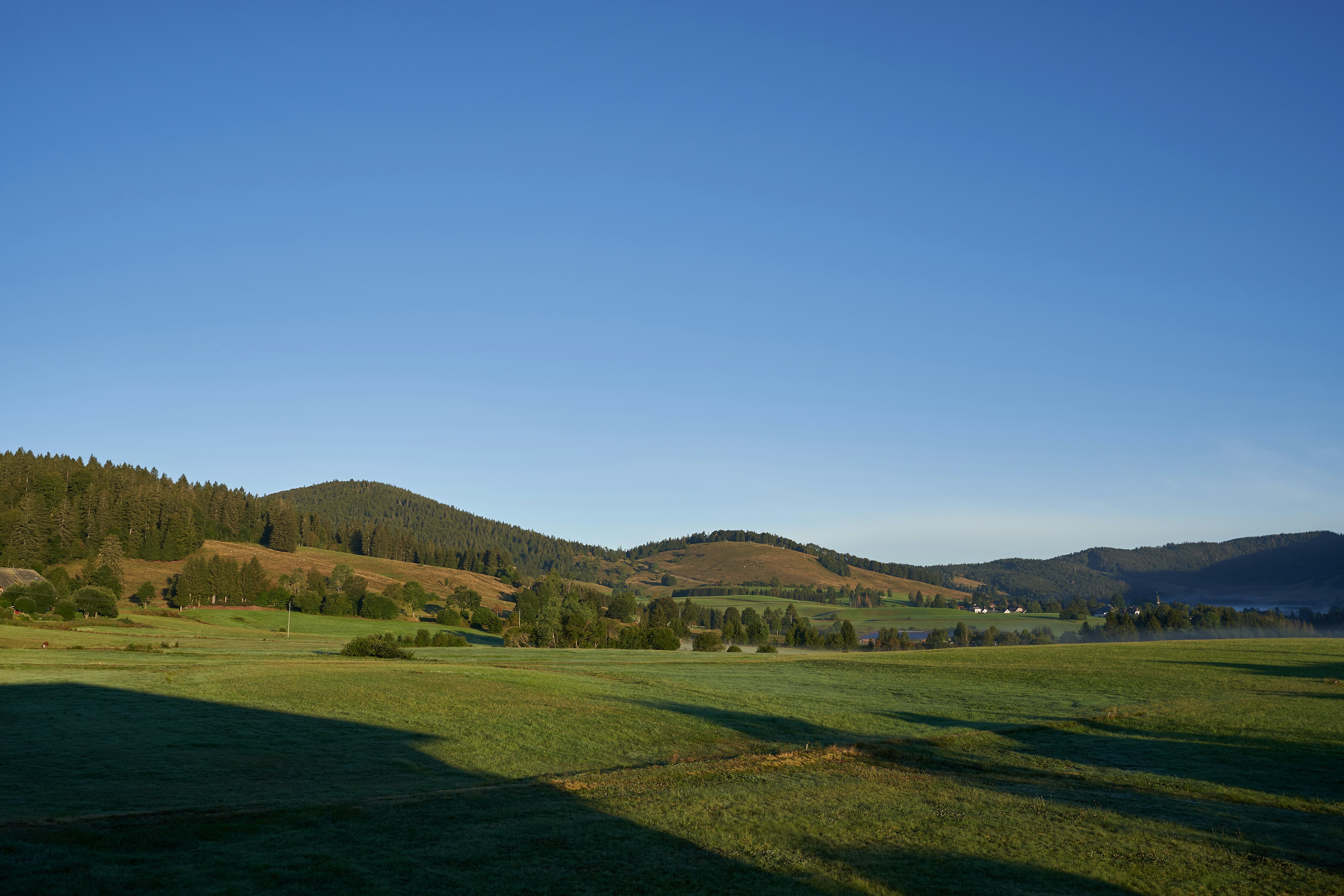 Photo by wolfgang_hasselmann