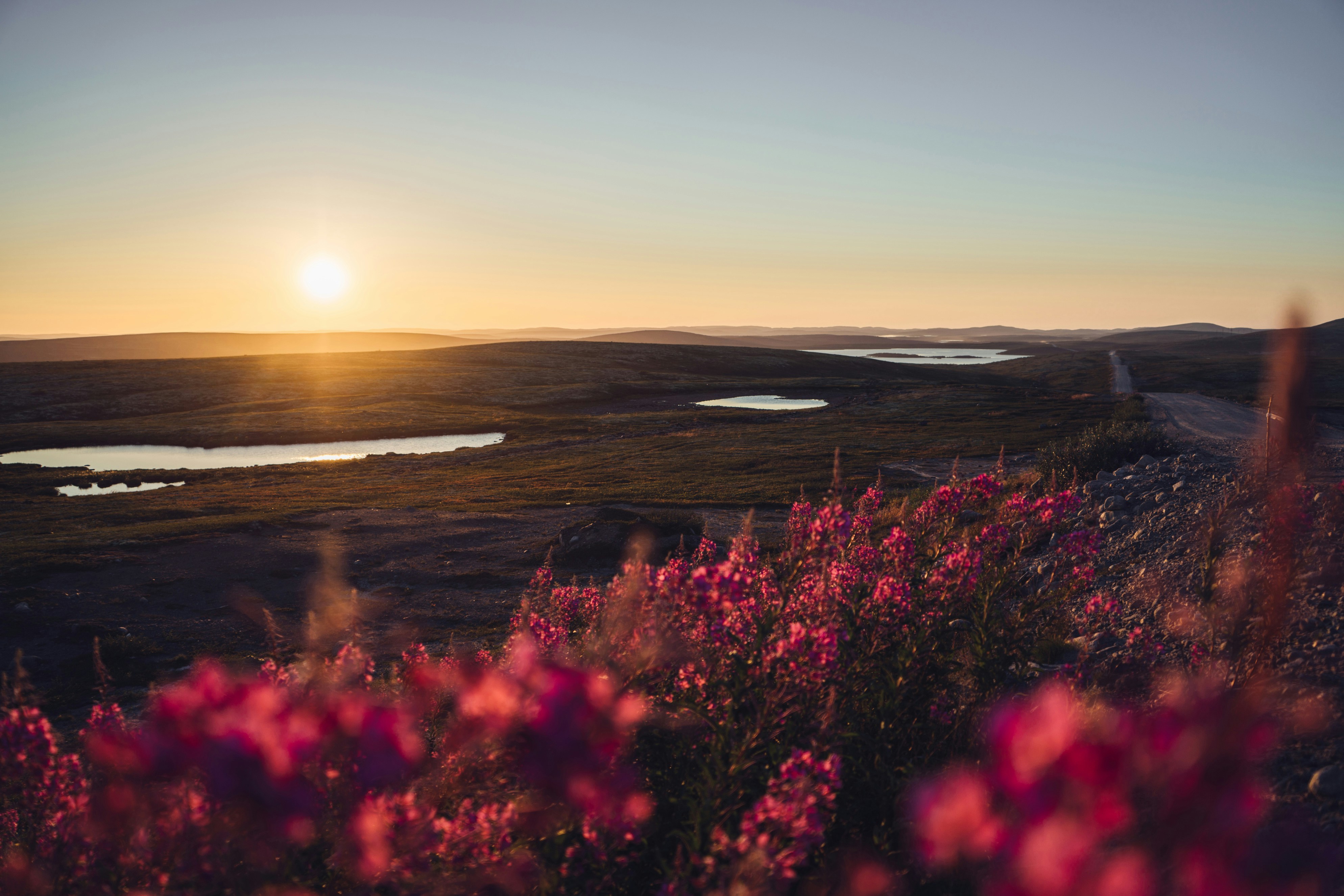 a landscape with a body of water and a sunset