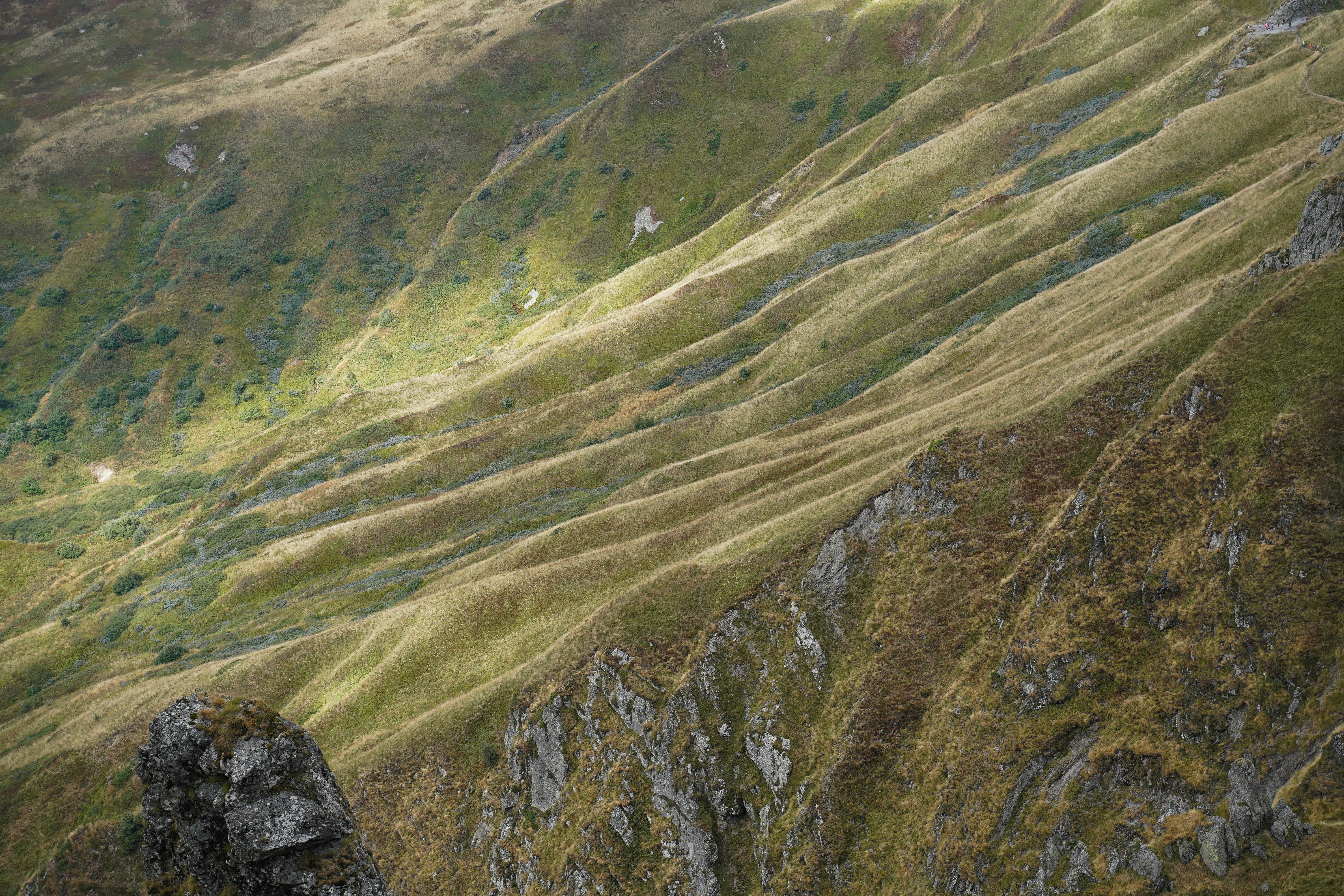 Photo by maximesteckle