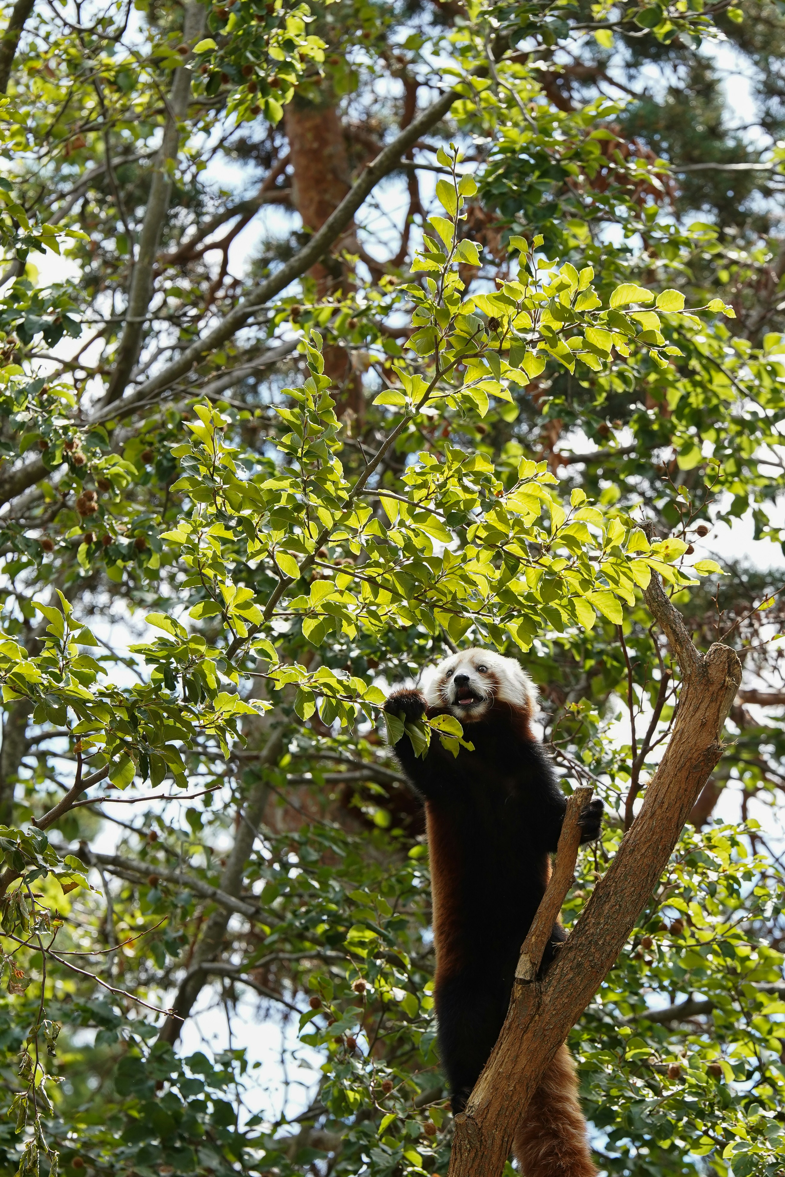 Photo by maximesteckle