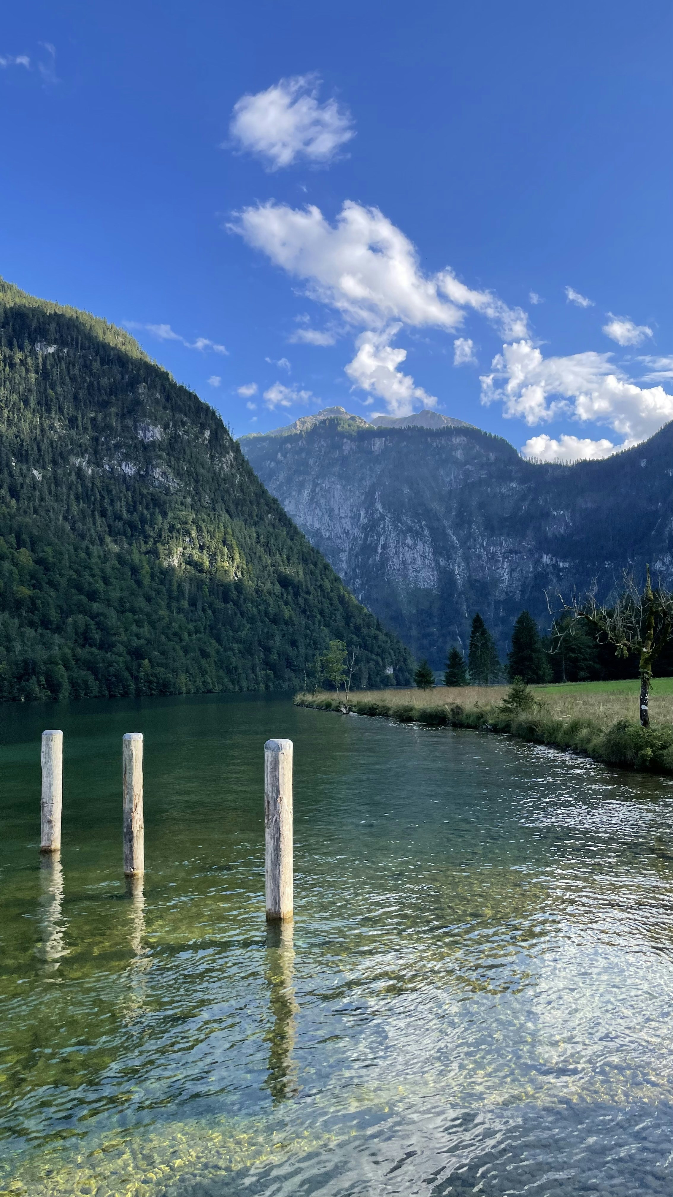 Photo by tieguanyindev