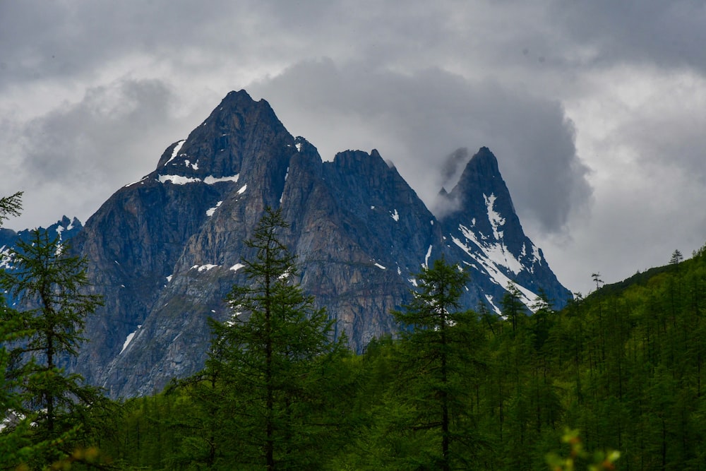 a mountain with trees in front of it