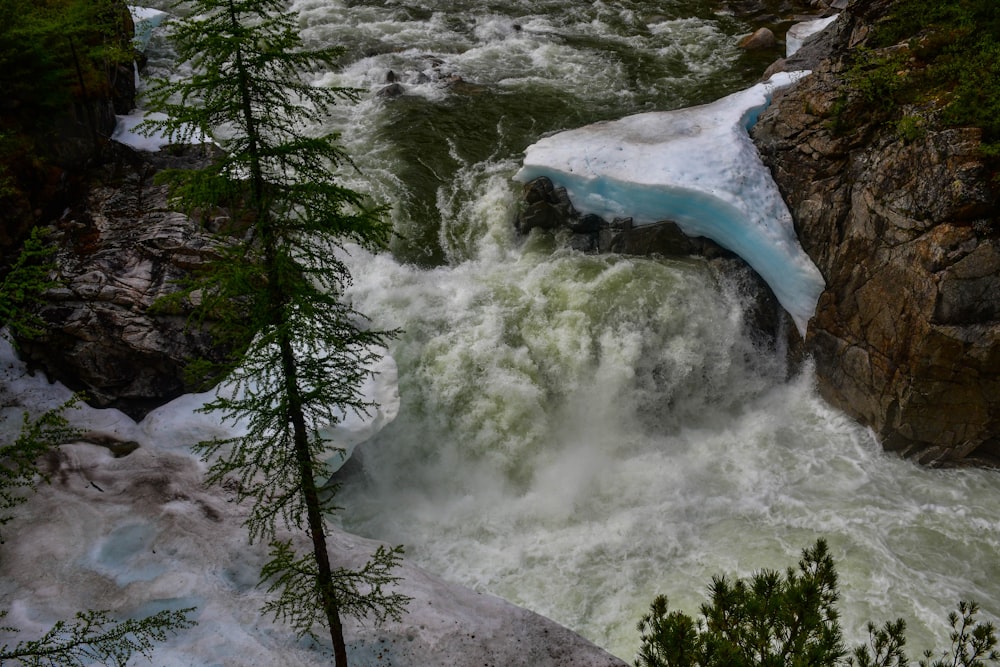 a waterfall with trees and rocks