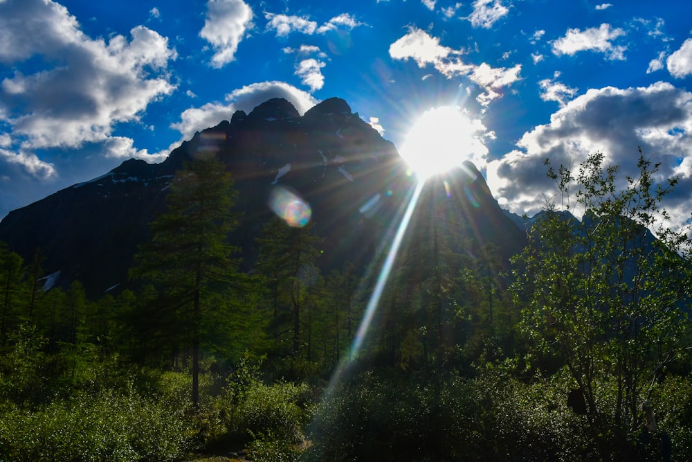 a mountain with trees and the sun shining through the clouds