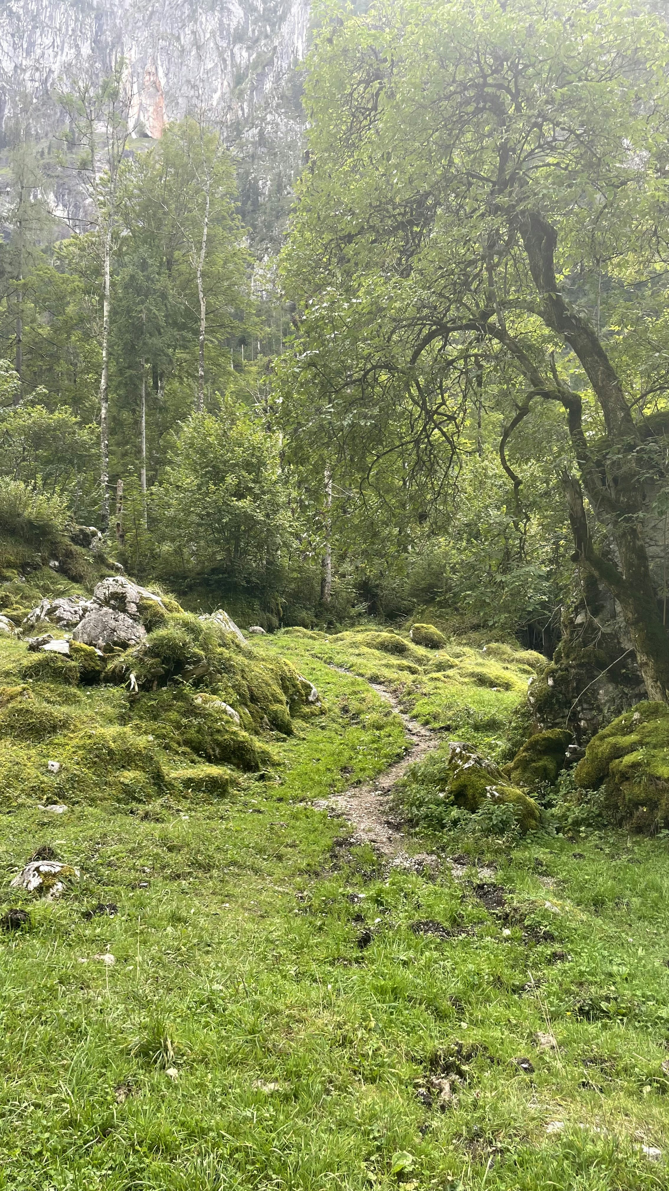 Photo by tieguanyindev