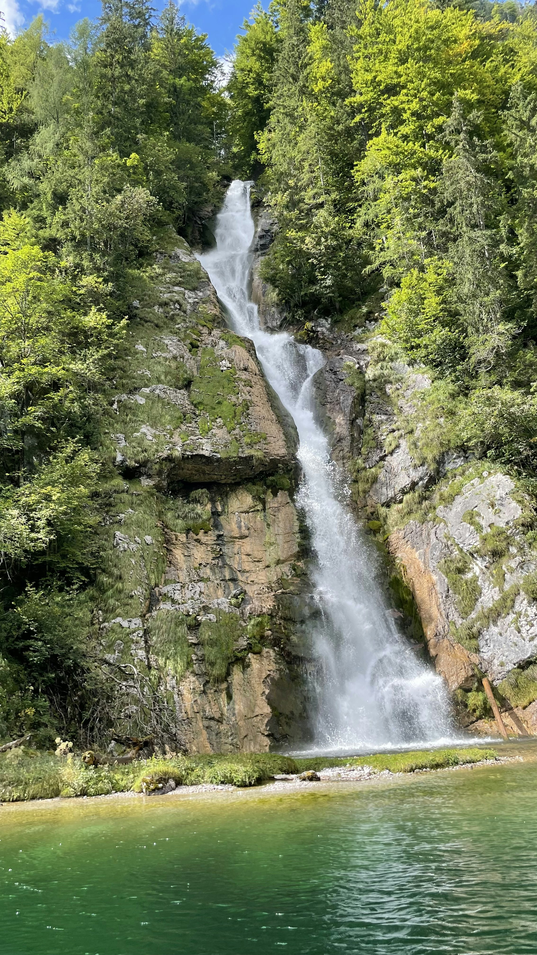 Photo by tieguanyindev