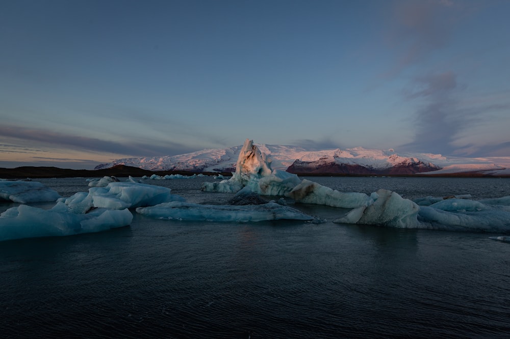 icebergs na água