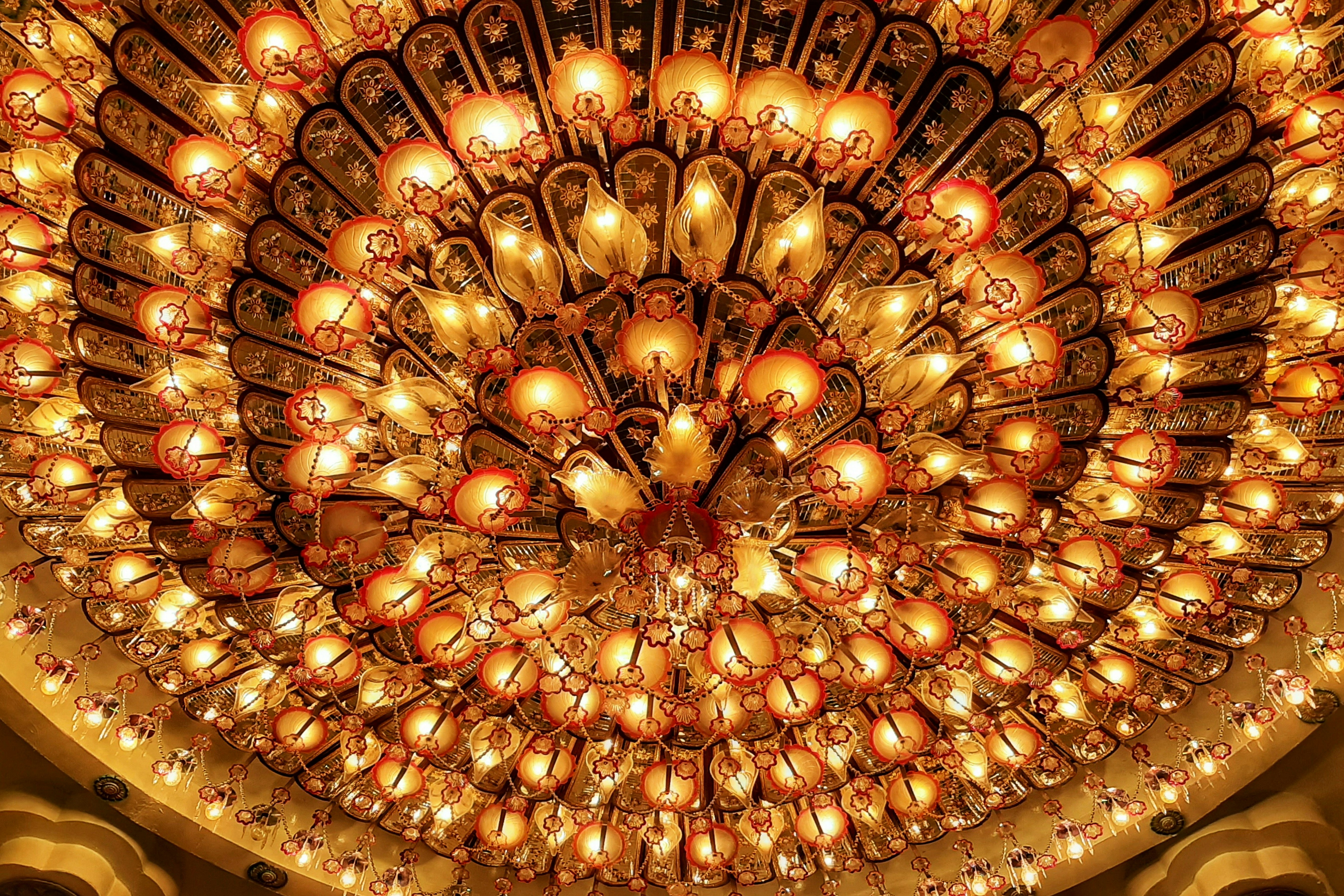 Photo by dibakar16roy