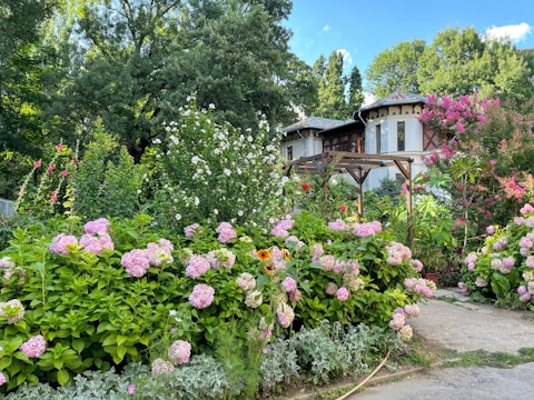 a garden with flowers and trees